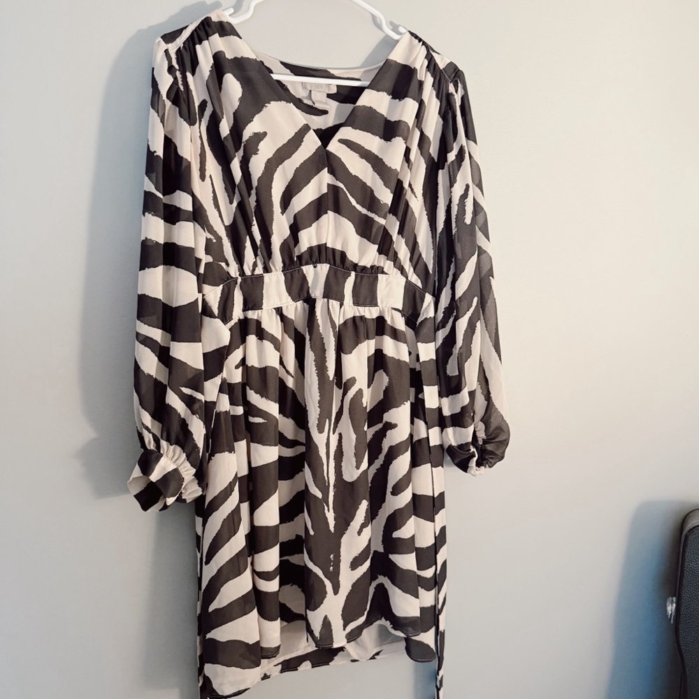 Blue & White Zebra Stripe Puff Sleeve Dress – H&M (Size Small)